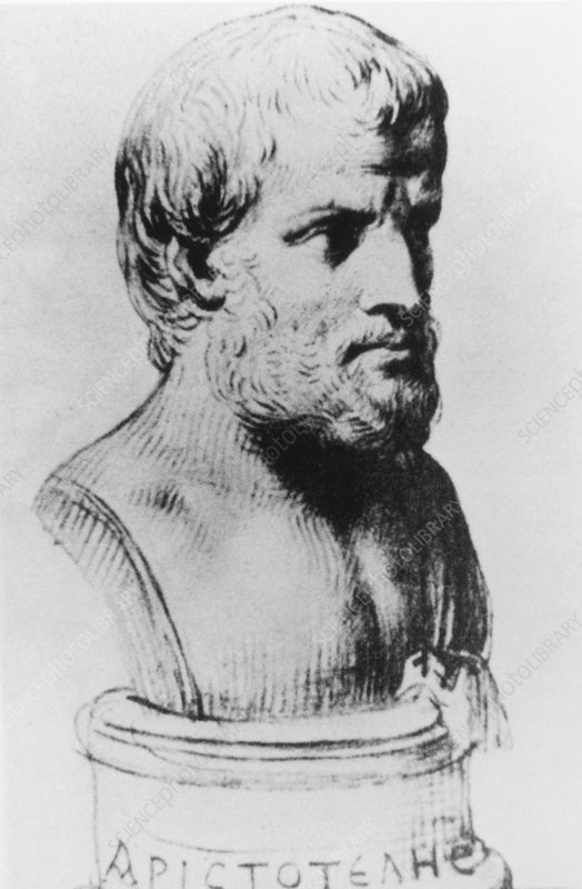 Aristotle Drawing Intricate Artwork