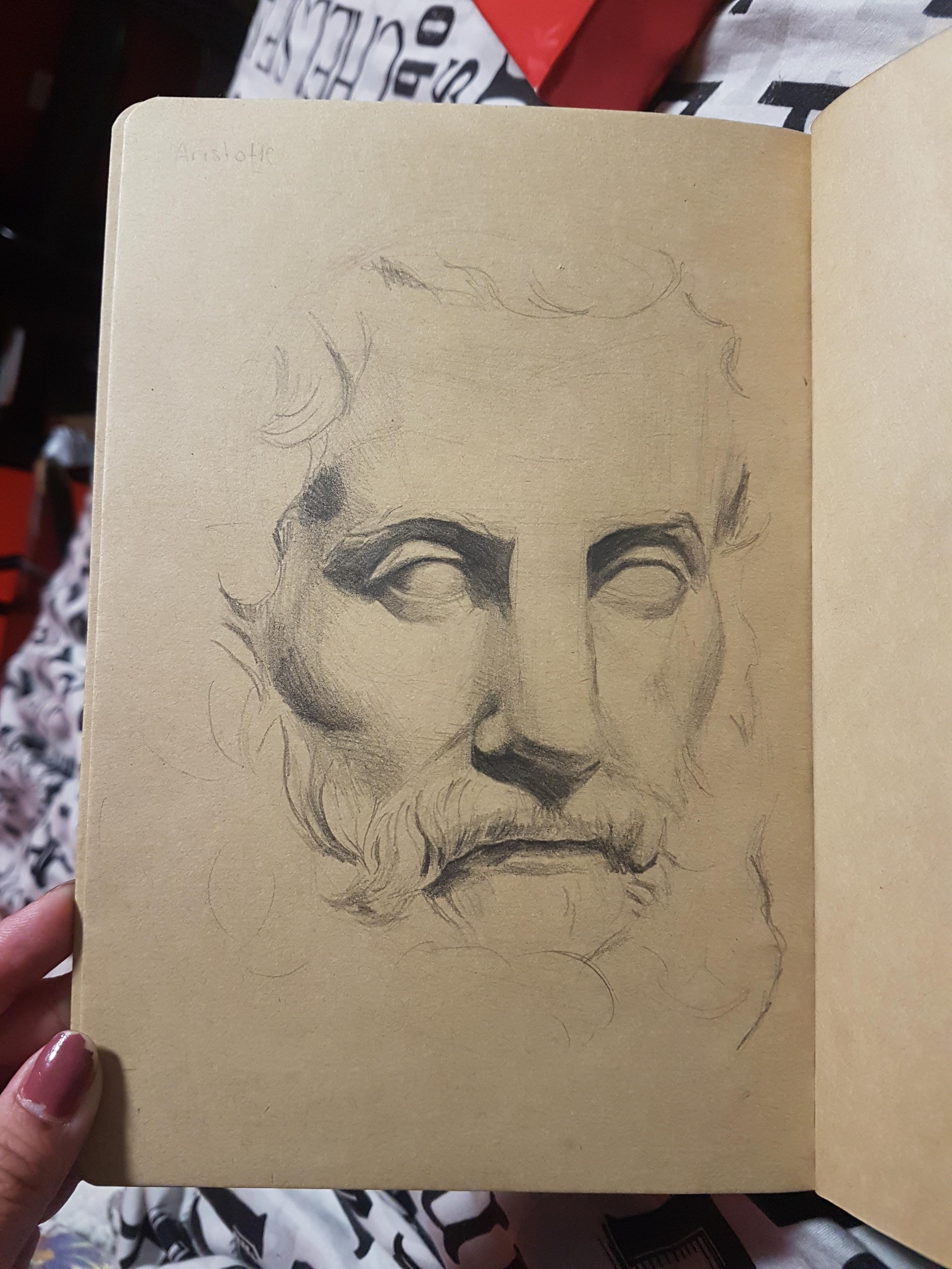 Aristotle Drawing Stunning Sketch