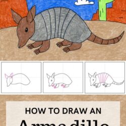 Armadillo Drawing Creative Style