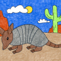 Armadillo Drawing Stunning Sketch