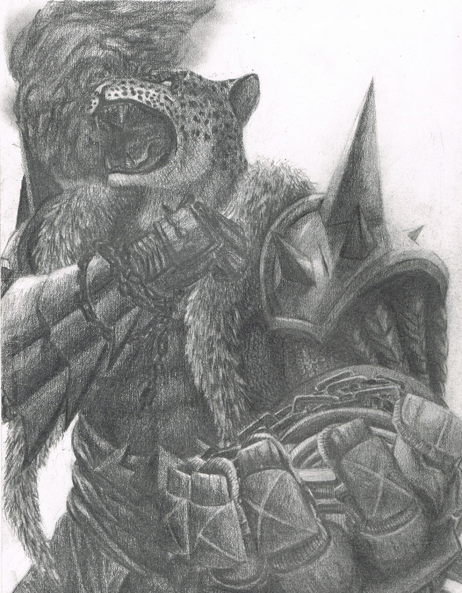 Armor King Drawing Image