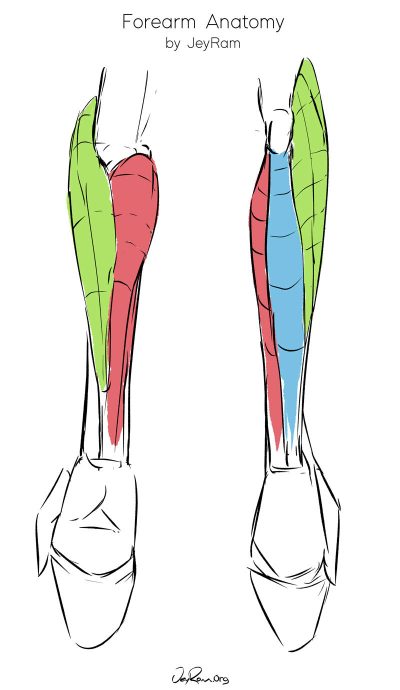 Arms, Defense, Weapons, Strength, Protection Drawing