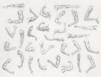 Arms, Defense, Weapons, Strength, Protection Drawing