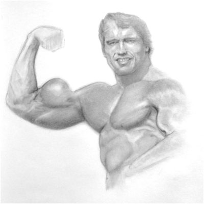 Arnold Schwarzenegger, Bodybuilder, Action Star, Politician, Filmmaker Drawing