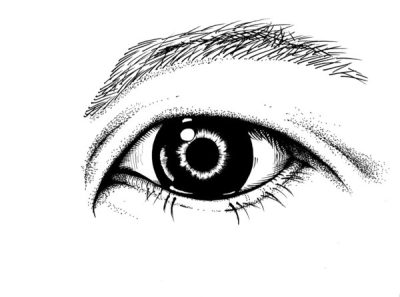 Eye, Focus, Gaze, Sight, Vision Drawing