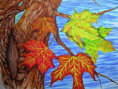 Autumn, Harvest, Change, Leaves, Chill Drawing