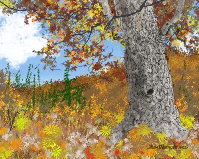 Autumn, Harvest, Chill, Colors, Leaves Drawing