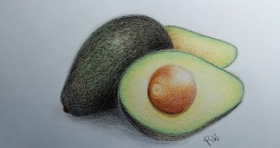 Avocado, Healthy, Versatile, Creamy, Nutritious Drawing