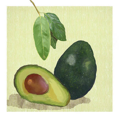 Avocado, Healthy, Versatile, Creamy, Nutritious Drawing