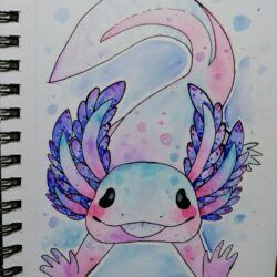 Axolotl Drawing Artistic Sketching