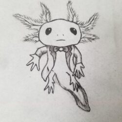 Axolotl Drawing Stunning Sketch