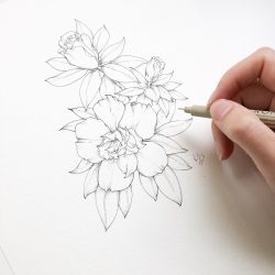 Azalea Drawing Fine Art