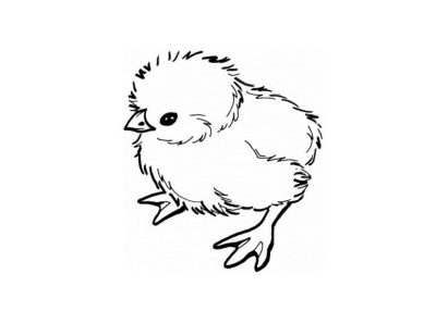 Baby Chick, Playful, Yellow, Hatchling, Adorable, Fluffy Drawing