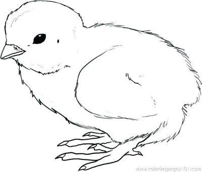 Baby Chick, Playful, Yellow, Hatchling, Adorable, Fluffy Drawing