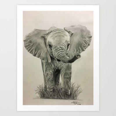 Baby Elephant, Wildlife, Playful, Adorable, Gentle Drawing