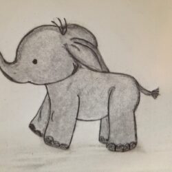 Baby Elephant Drawing Amazing Sketch