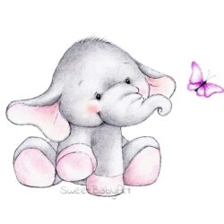 Baby Elephant Drawing Creative Style