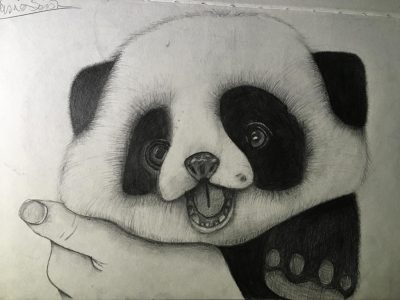 Baby Panda, Bamboo Forest, Cute Animal, Adorable Cub, Playful Nature Drawing