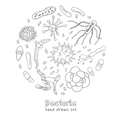 Bacteria, Pathogens, Flora, Prokaryotes, Microorganisms Drawing