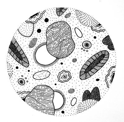 Bacteria, Pathogens, Flora, Prokaryotes, Microorganisms Drawing