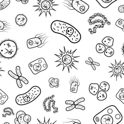 Bacteria, Prokaryotes, Culture, Pathogens, Microorganisms Drawing