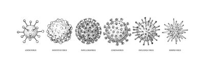 Bacteria, Pathogens, Flora, Prokaryotes, Microorganisms Drawing