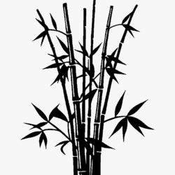 Bamboo Drawing