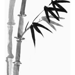 Bamboo Drawing Creative Style