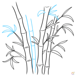 Bamboo Drawing Fine Art