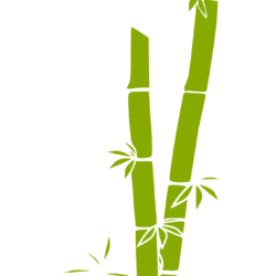 Bamboo Drawing Image