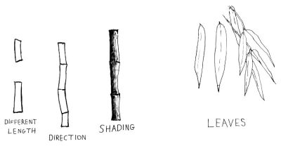 Bamboo, Durability, Flexibility, Sustainability, Growth Drawing