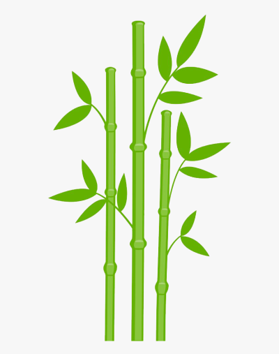 Bamboo, Growth, Strength, Flexibility, Sustainability Drawing