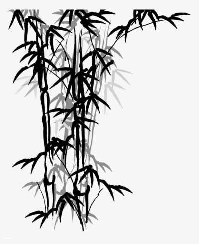 Bamboo, Flexibility, Growth, Eco-Friendly, Sustainability Drawing