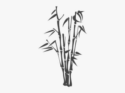 Bamboo, Growth, Strength, Flexibility, Sustainability Drawing