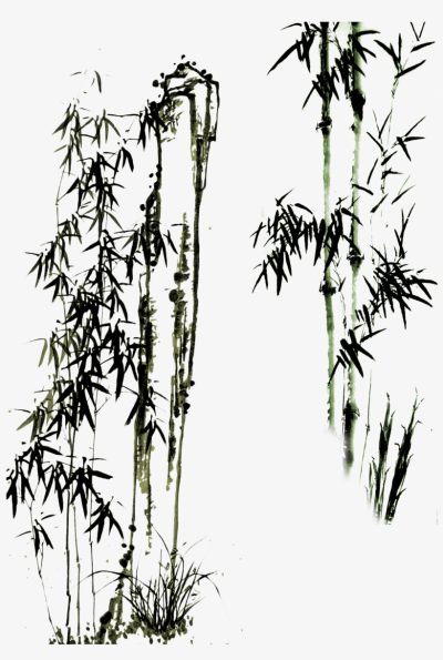 Bamboo, Growth, Strength, Flexibility, Sustainability Drawing