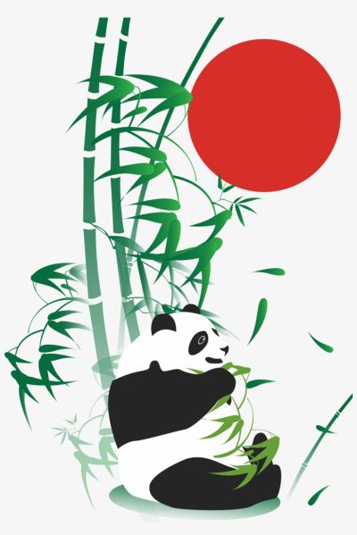 Bamboo, Strength, Sustainability, Flexibility, Growth Drawing