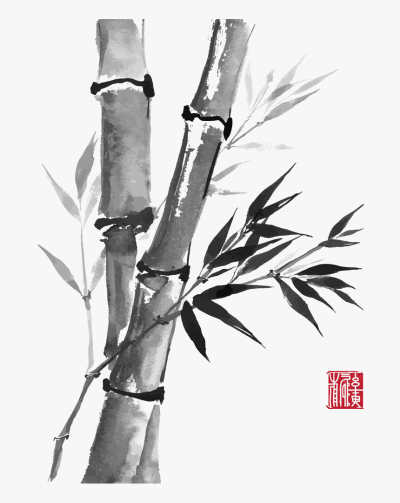 Bamboo, Versatile, Eco-Friendly, Sustainable, Strong Drawing