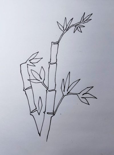 Bamboo, Versatile, Eco-Friendly, Sustainable, Strong Drawing