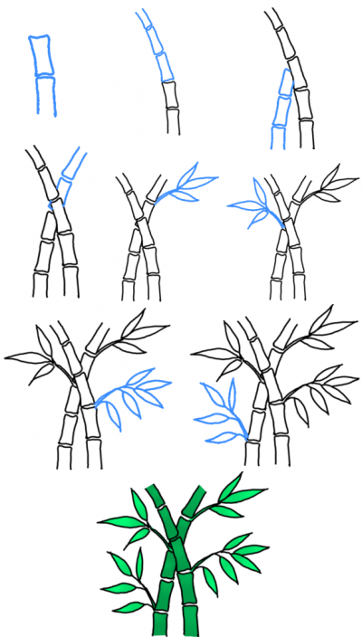 Bamboo, Sustainability, Versatility, Growth, Flexibility Drawing