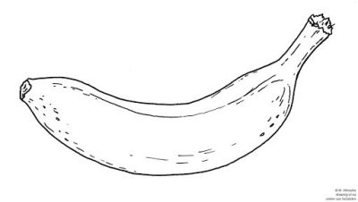 Banana, Sweet, Fruit, Yellow, Tropical Drawing