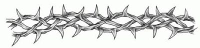 Barb Wire, Security Barrier, Protective Perimeter, Sharp Fencing, Hazardous Edge Drawing