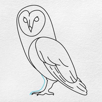 Barn Owl, Nocturnal Predator, Unique Plumage, Habitat Specialist, Silent Flight Drawing