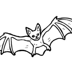Bat Drawing Fine Art