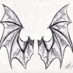 Bat Drawing Photo