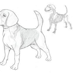 Beagle Drawing Intricate Artwork