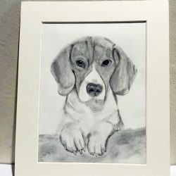 Beagle Drawing Modern Sketch