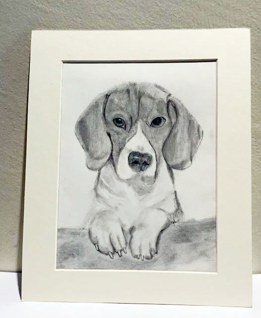 Beagle Drawing Modern Sketch