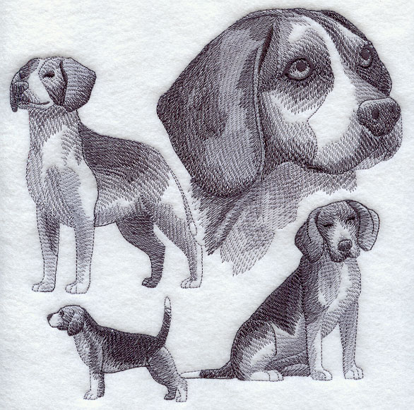 Beagle Drawing Professional Artwork