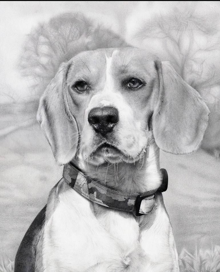 Beagle Drawing Unique Art
