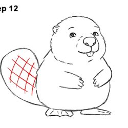 Beaver Drawing Modern Sketch